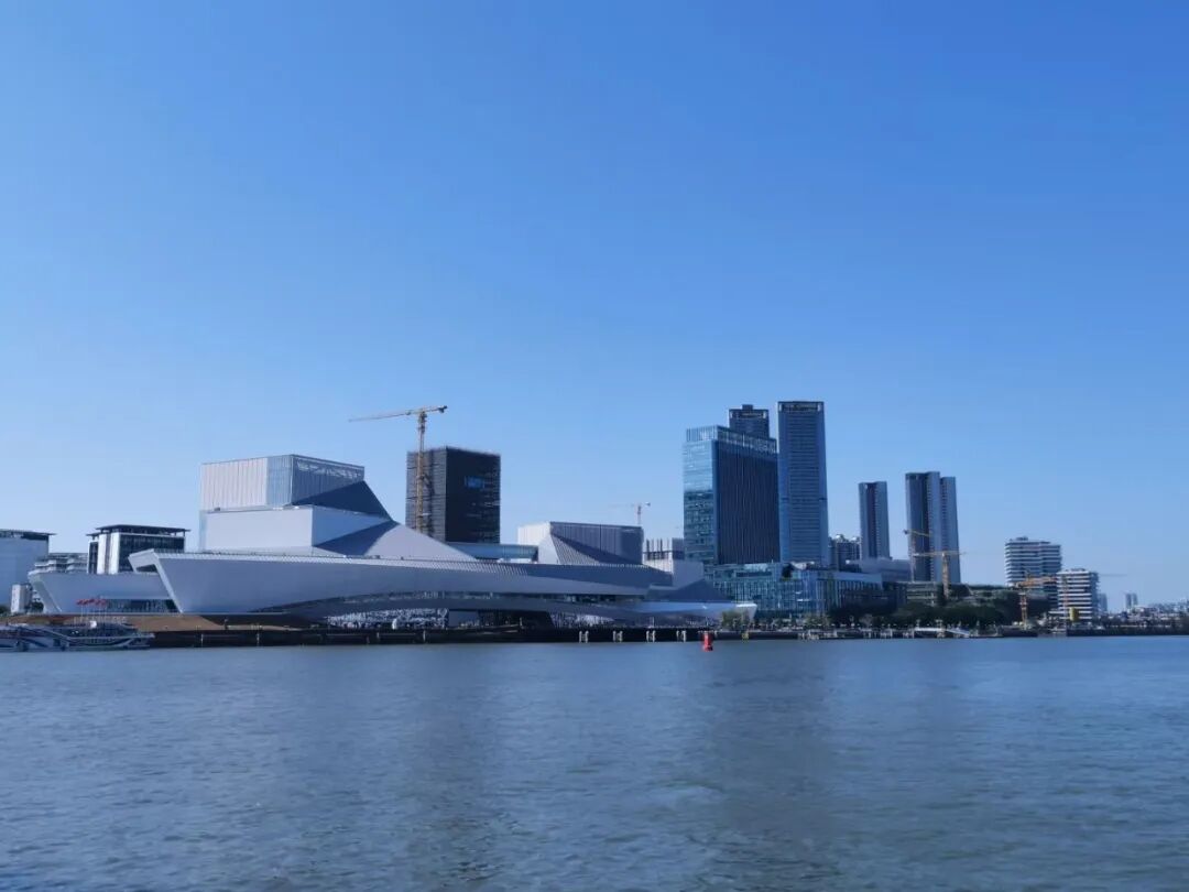 （27日拍摄于广州洲头咀公园）