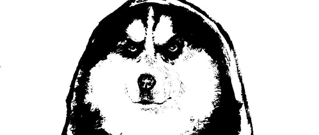 cover_image