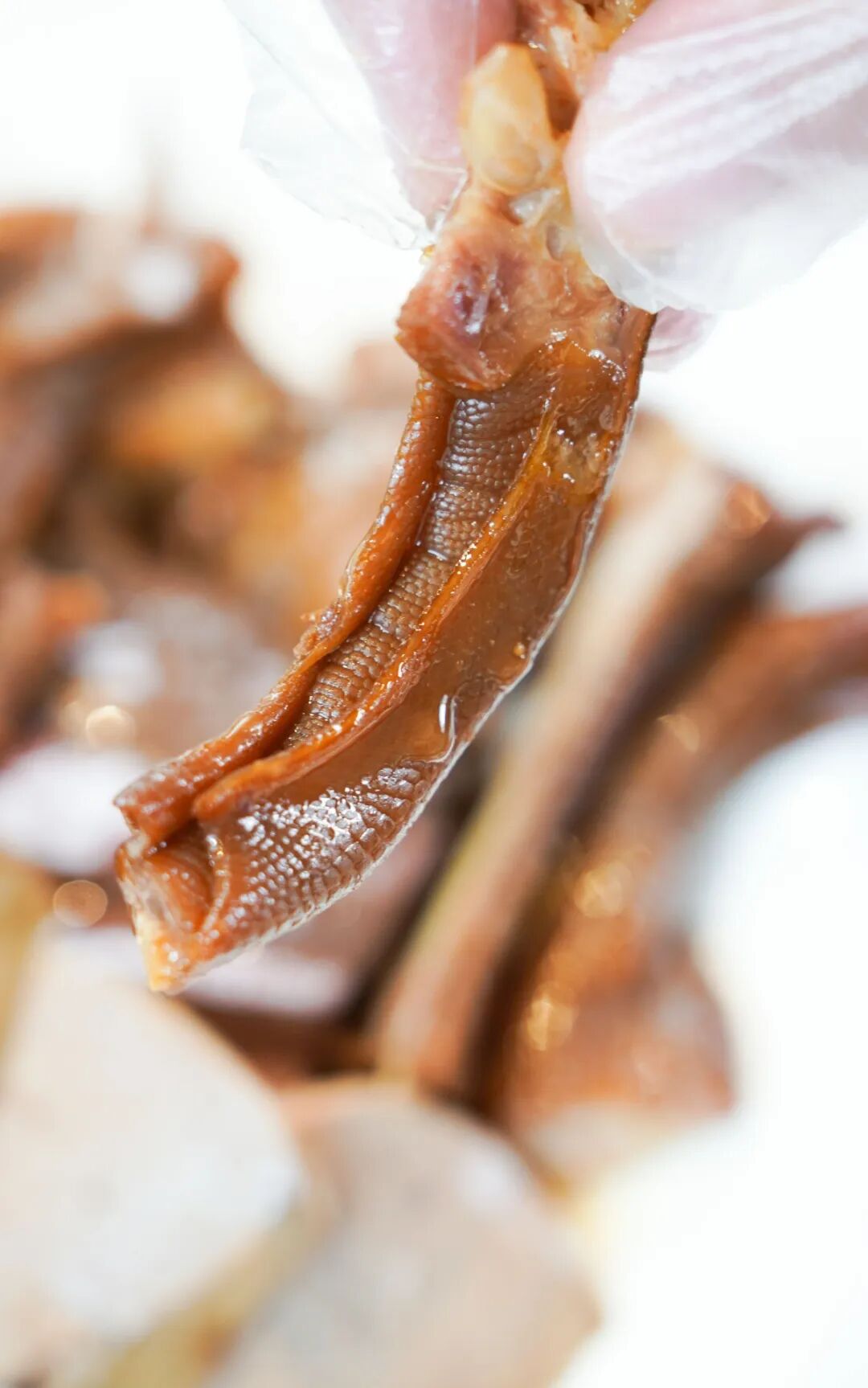 鹅掌胶糯,鹅肝粉嫩,口感不同,但咀嚼时尝到的醇厚鹅油与老卤香气,是