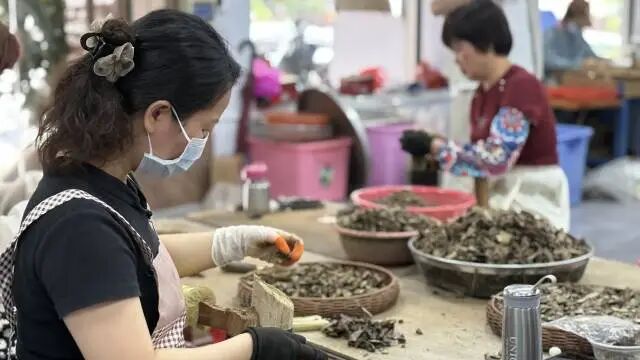 沉香加工利用。