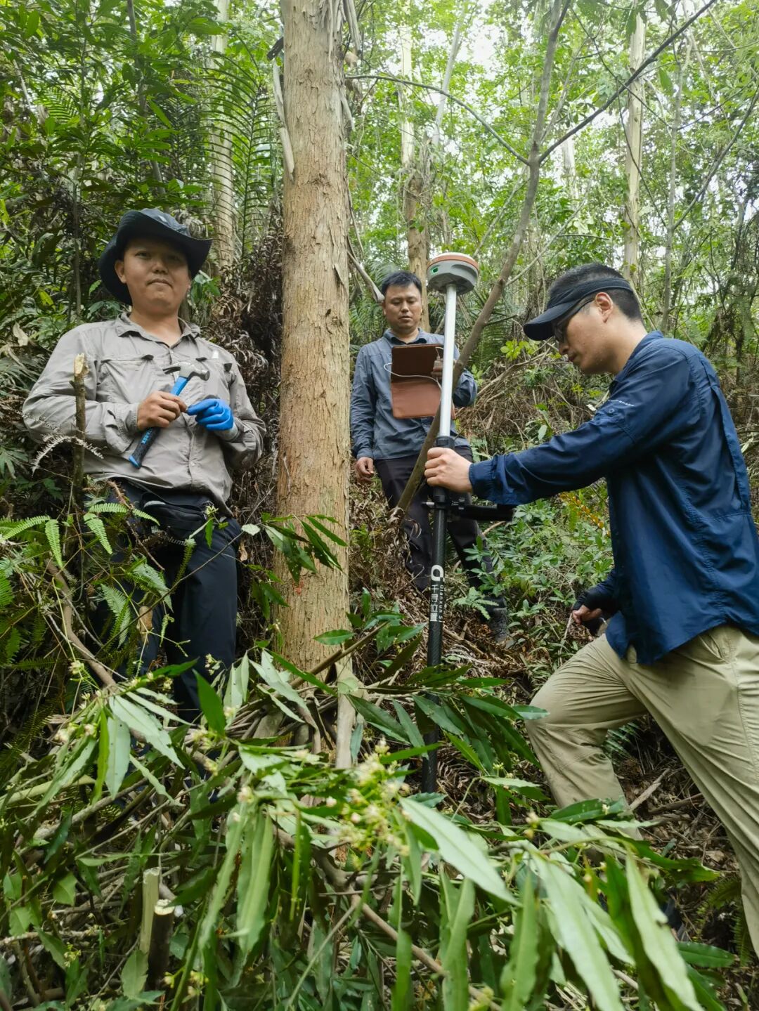 重点解决林草湿调查监测植被覆盖类型与国土调查二级地类不一致问题