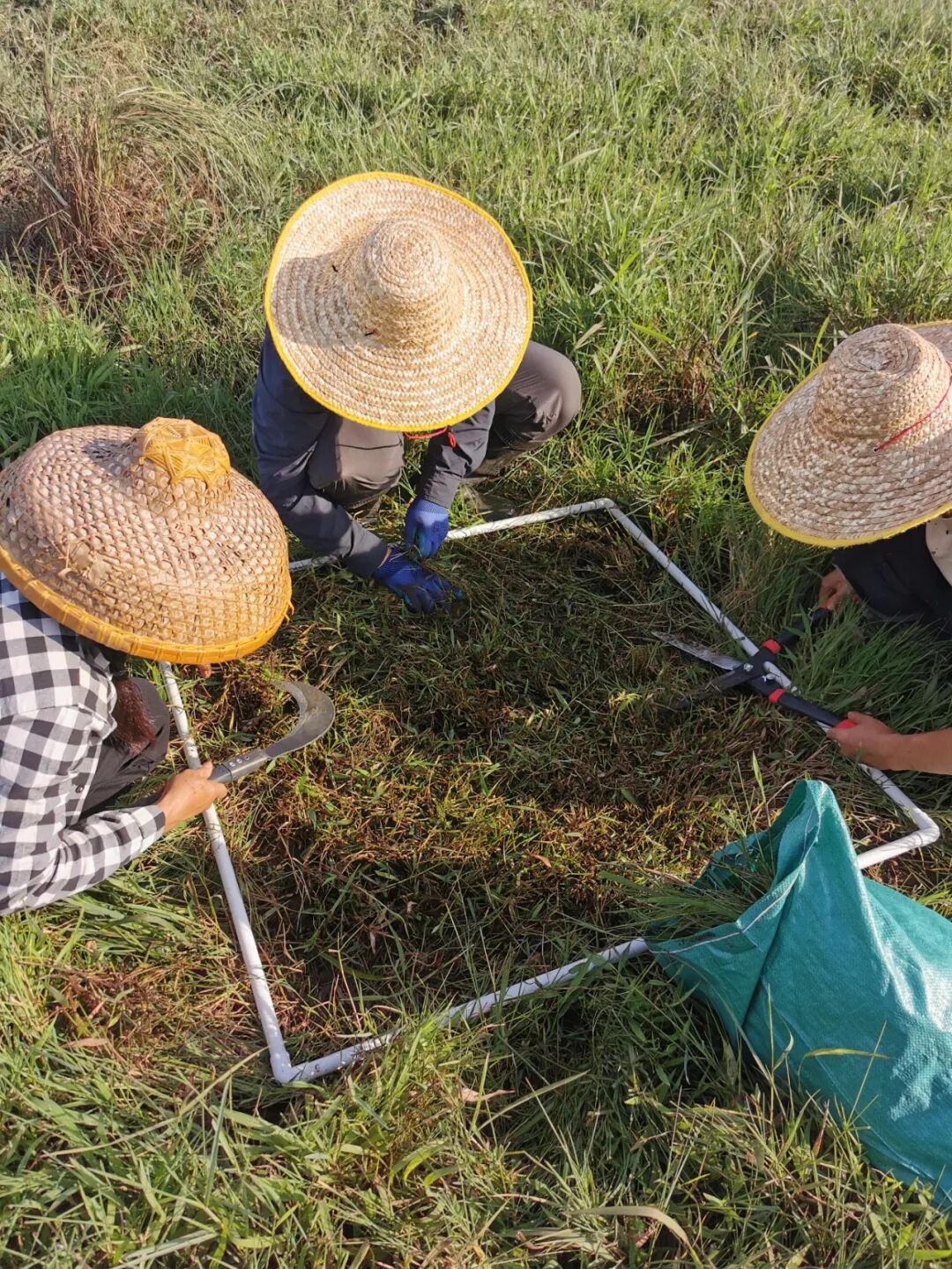 重点解决林草湿调查监测植被覆盖类型与国土调查二级地类不一致问题