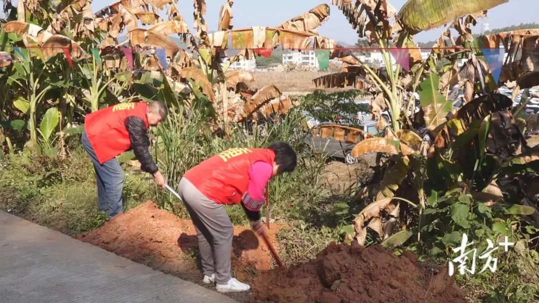 廣東各地全力做好春季植樹造林準備工作