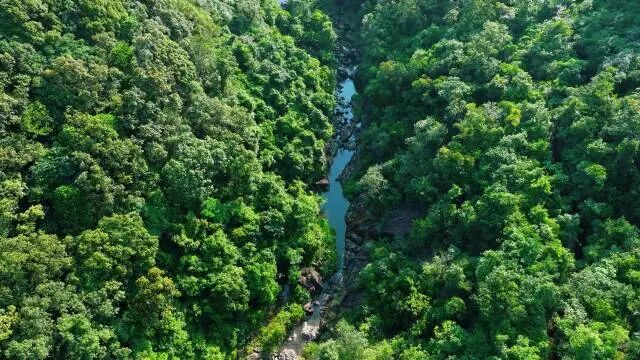 象头山国家级自然保护区