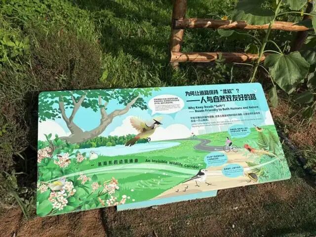 绿道土路段旁的科普牌