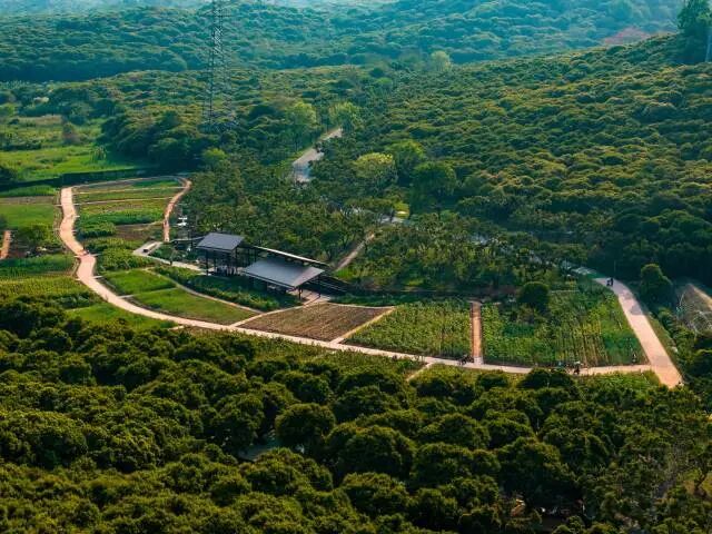根据时节更换作物，实现四季繁茂的稻香尺岸节点