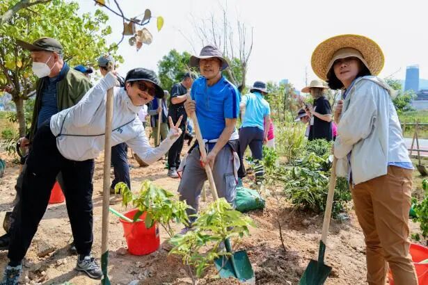 澳门及香港公众植树活动.jpg