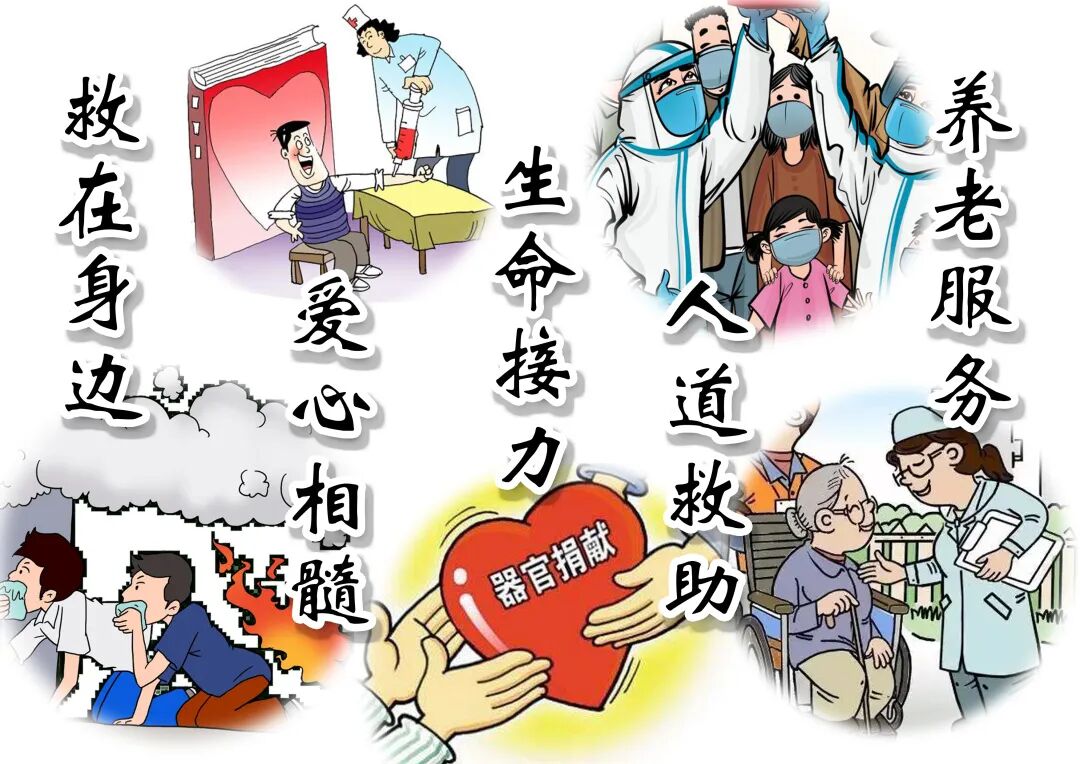 医用绷带怎么绑图解急救知识 ｜ 外伤处理中5种绷带包扎方法，赶紧get!_https://www.jmylbn.com_新闻资讯_第36张