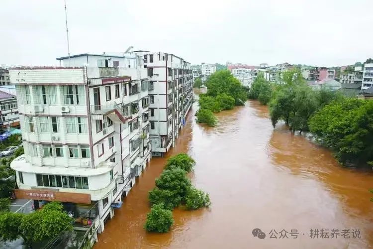 2024年07月05日 大关天气