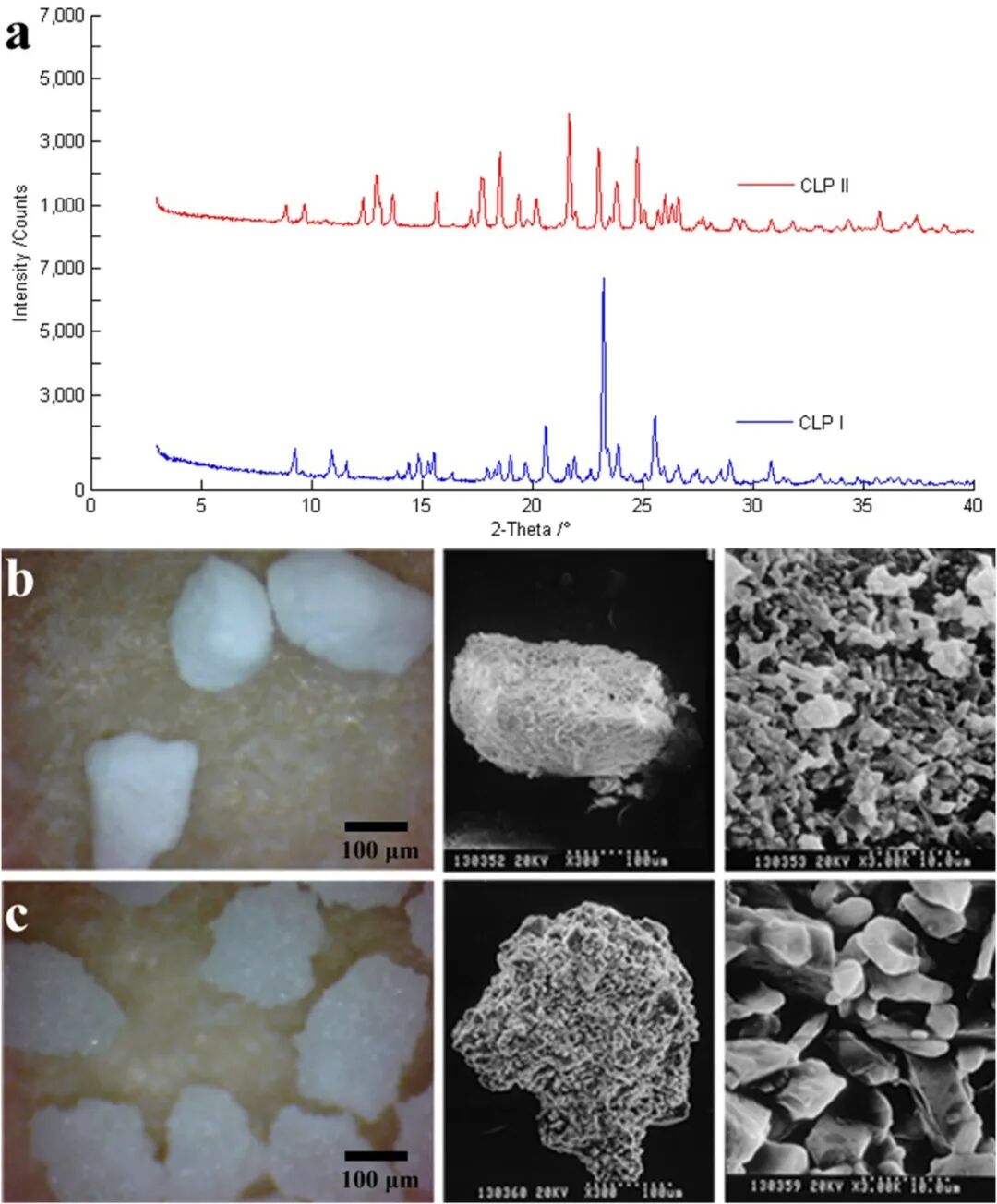 Polymorph PXRD and morphology of CLP I and CLP II