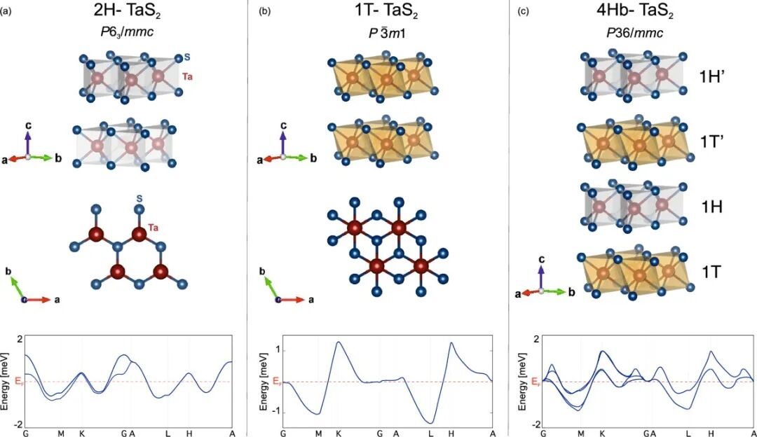 TaS2 polymorph crystal structures and schematic band structures