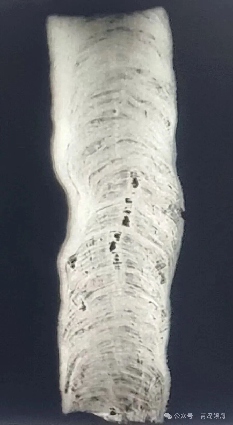 image11.jpeg