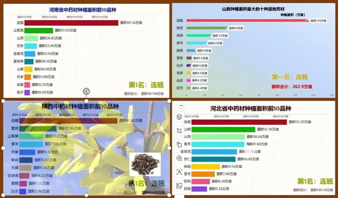 连翘产新 下行压力空前