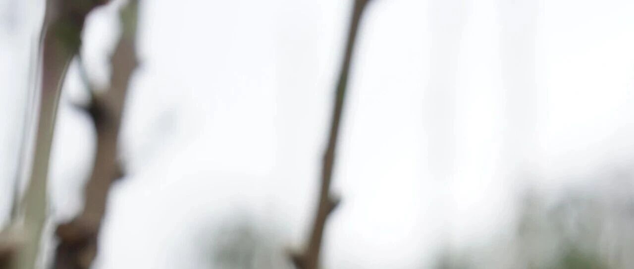 cover_image