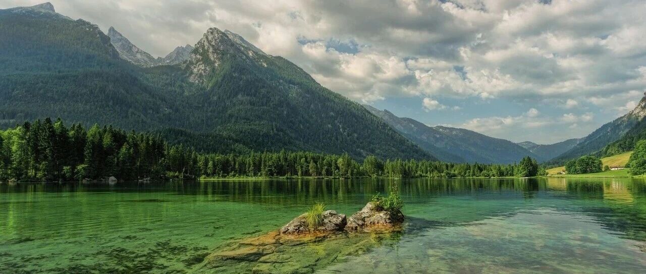 cover_image