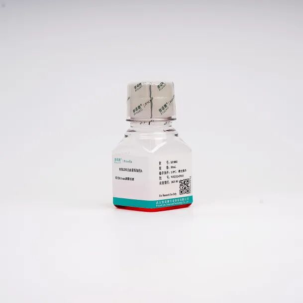 產(chǎn)品上新 | 普諾賽無(wú)血清培養(yǎng)基系列新品來(lái)襲！速速?lài)^