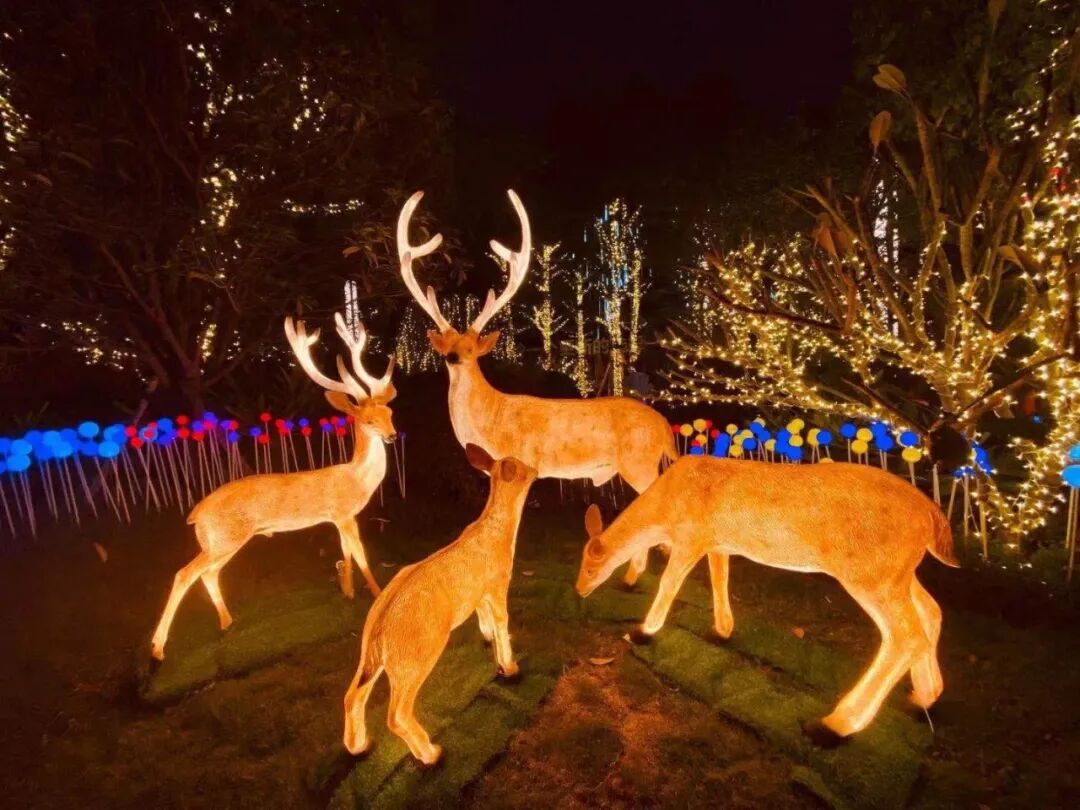 非遗焰火北极天幕萤火虫秘境淄博花间小筑首次开夜