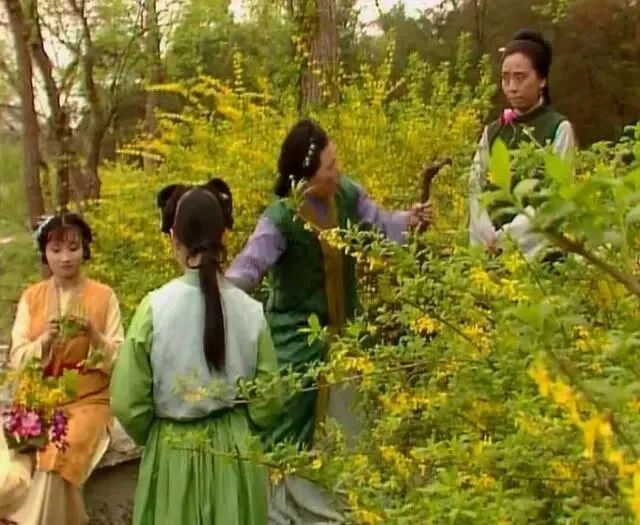 大观园最蠢婆子，居然出在潇湘馆，世道就是这么荒诞(图3)