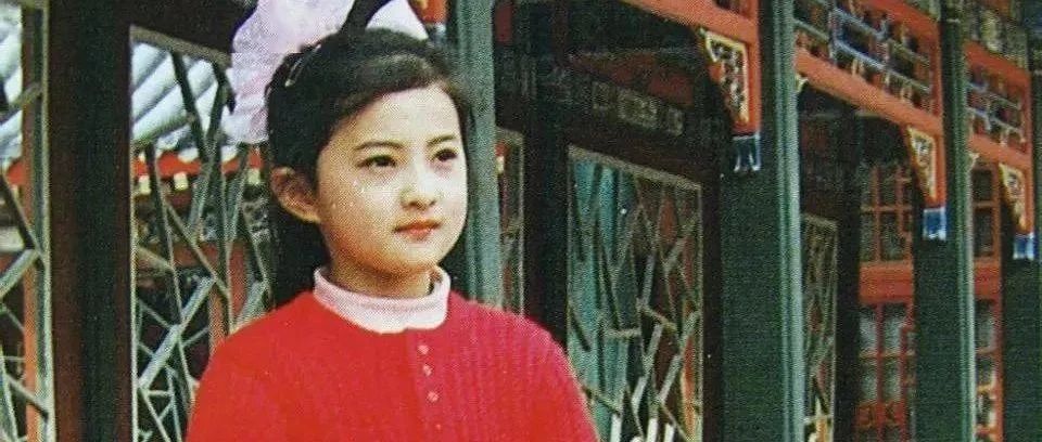 “小婉君”金铭44岁现状:个子太矮,事业受挫,单身未婚未孕,却是真正的人生赢家