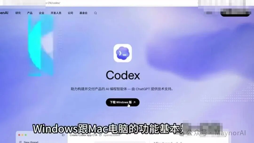 Codex App 安装和入口