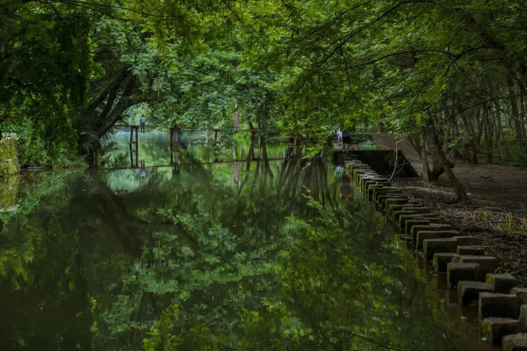 创意"溪"引力,从西溪南看创意经济学视野下的徽州古村落振兴_大皖新闻