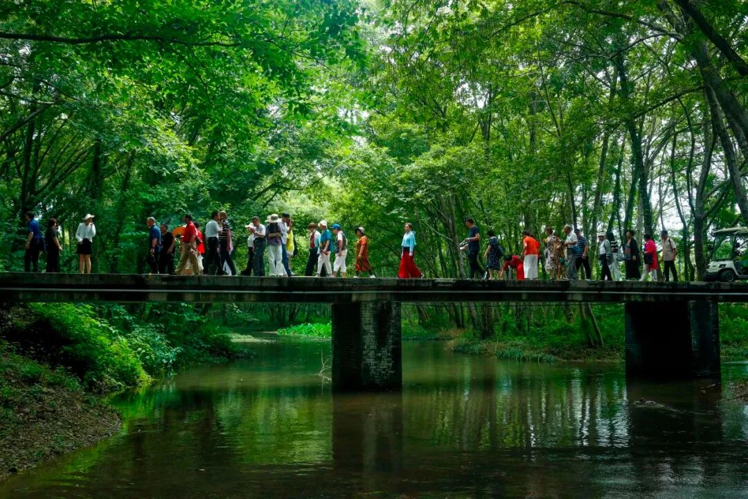 创意"溪"引力,从西溪南看创意经济学视野下的徽州古村落振兴_大皖新闻