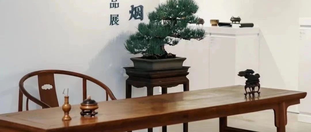 ̡¯ƷչˣͼƬ