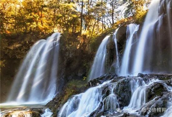 【大咖力作荐读】辽宁陈词：内心的激流原创散文诗精粹散文诗精粹2024-05-0817:00贵州