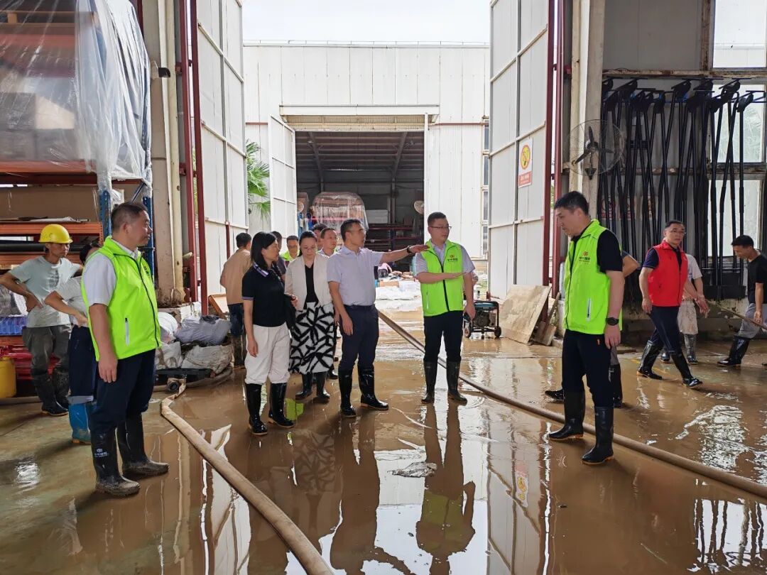 桦加沙会成广东最强台风吗