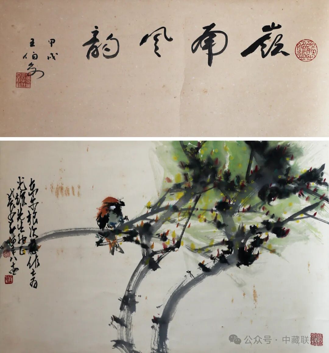 時尚動漫服裝美女圖片（時尚動漫畫）