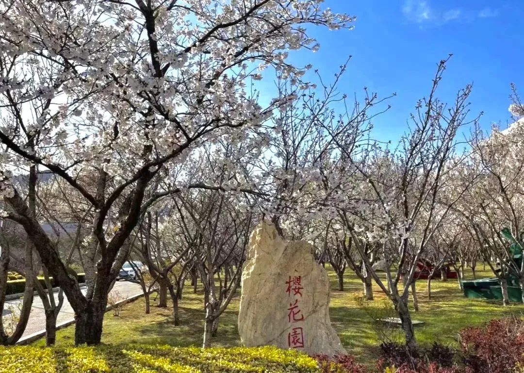 大連大學(xué)招生官網(wǎng)_大連大學(xué)招生簡章2021官網(wǎng)_大連大學(xué)招生