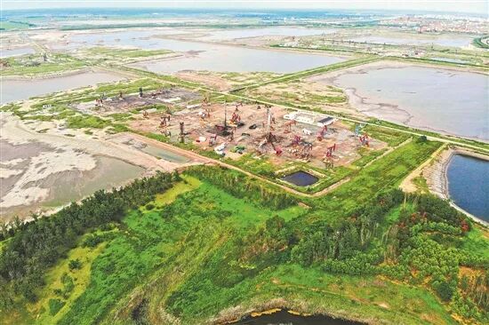 中国石油十大CCUS重大示范工程的图7