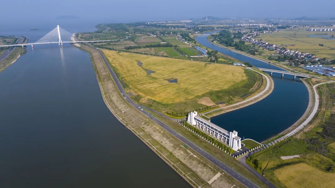 平台,十五里河闸站,十八联圩生态湿地蓄洪区,巢湖闸,杭埠河倒虹吸工程