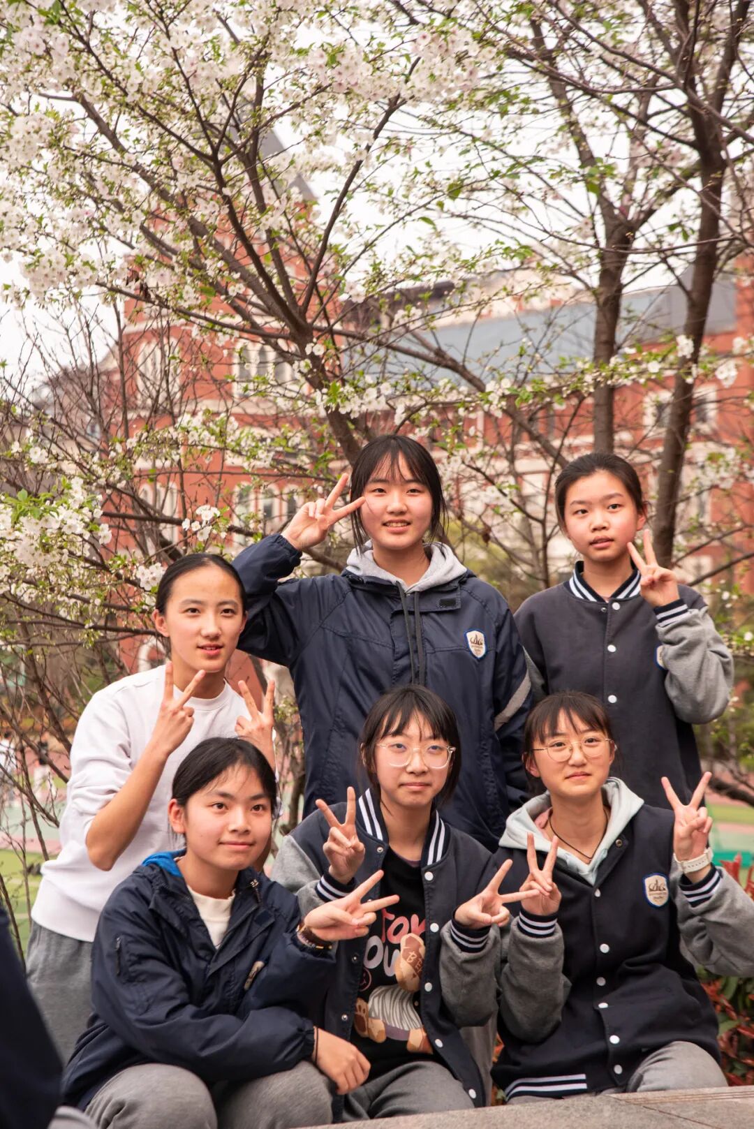 红黄紫,宜宾东辰给你点颜色瞧瞧