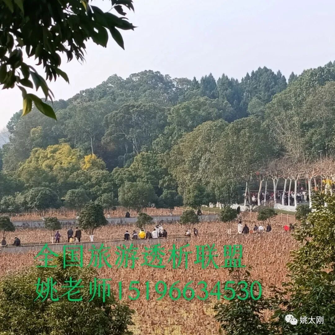 医用弹力绷带怎么取血液透析动静脉内瘘拔针止血，弹力绷带的规范使用_https://www.jmylbn.com_新闻资讯_第9张