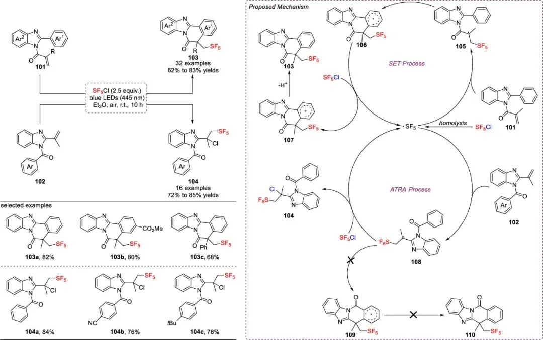 五氟硫基的合成策略：直接法 vs 间接法 第29张