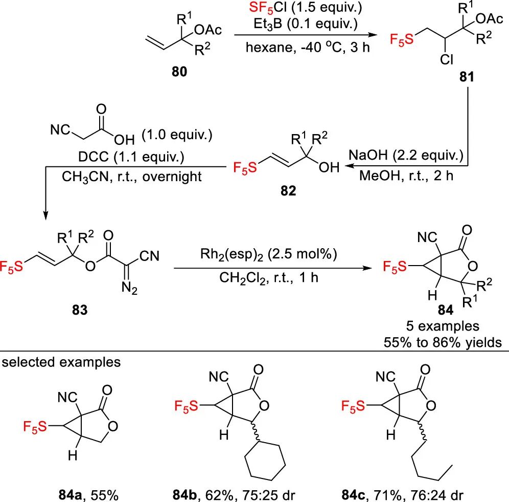 五氟硫基的合成策略：直接法 vs 间接法 第23张