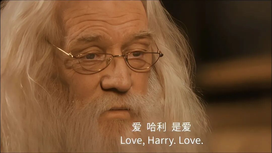 邓布利多你说得对
