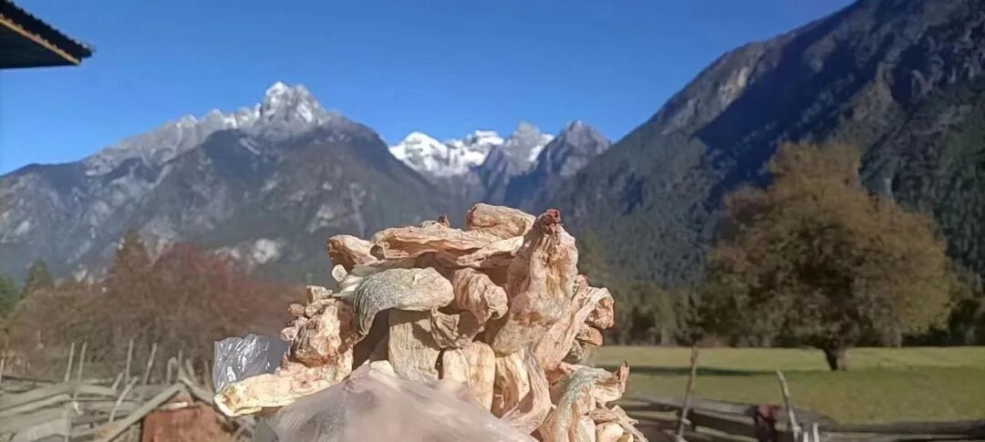 南通到长兴多少公里