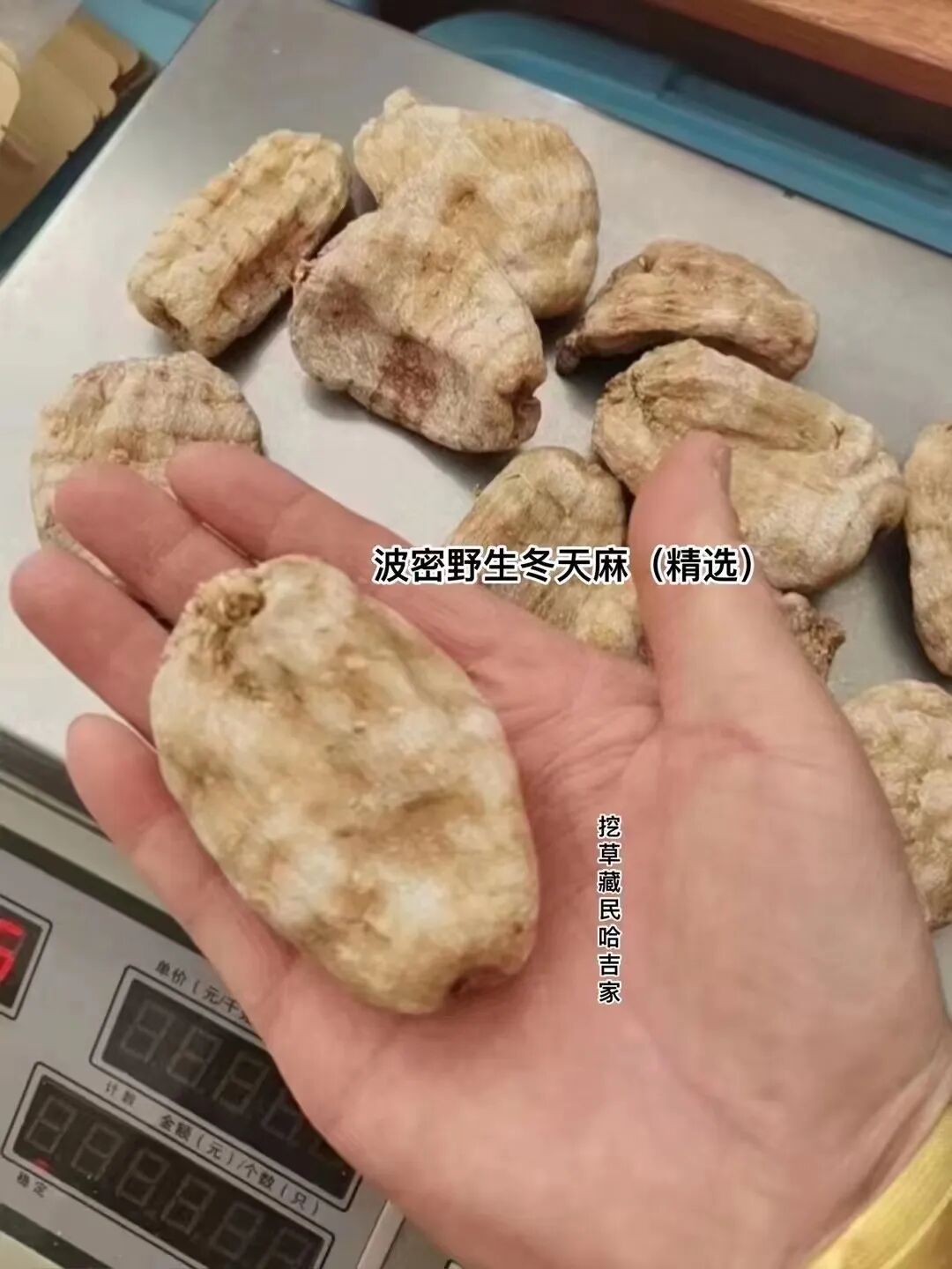 南通到长兴多少公里