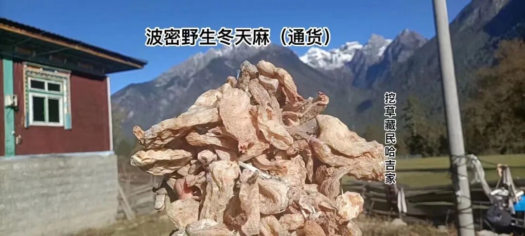 南通到长兴多少公里
