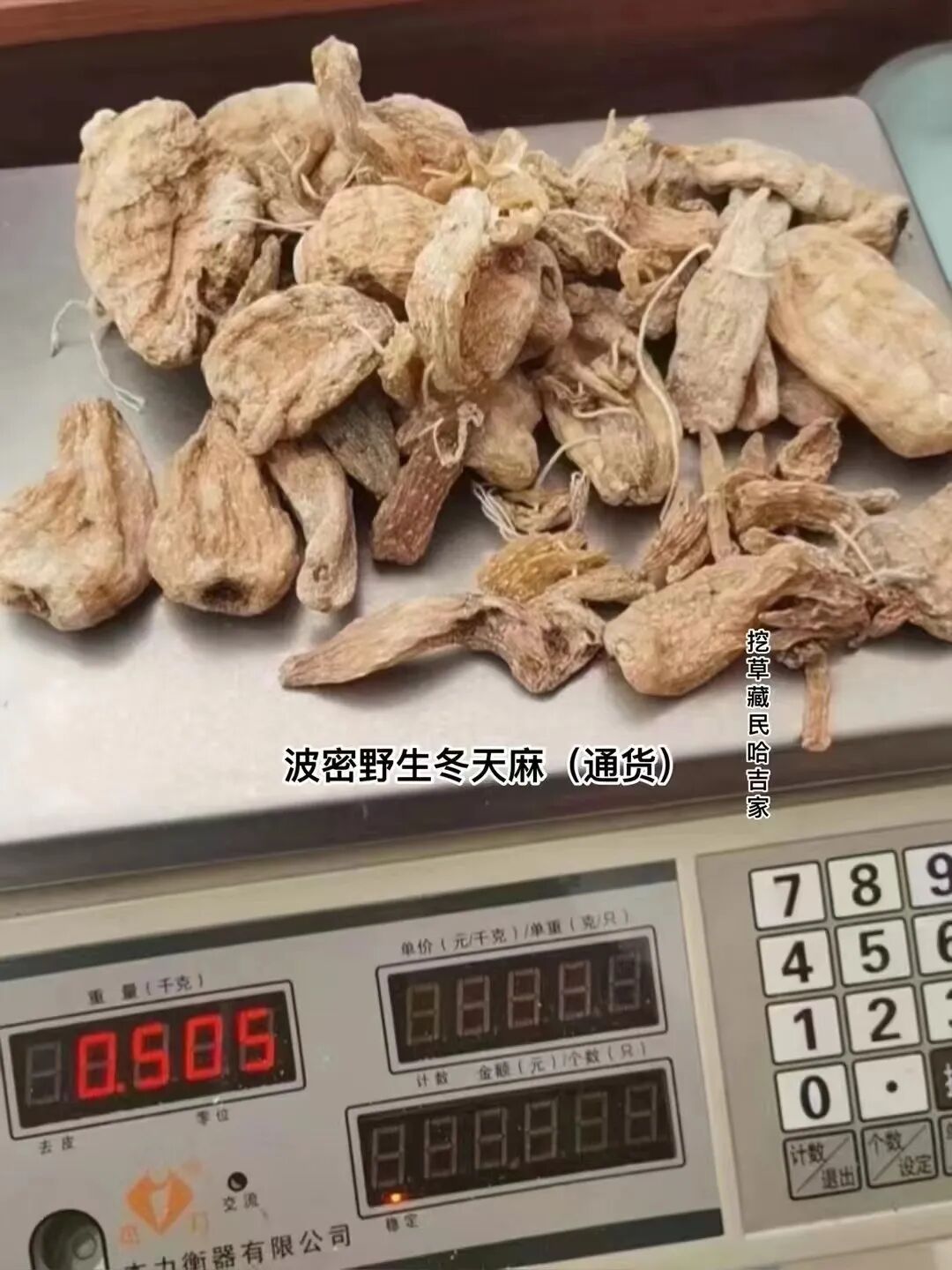 南通到长兴多少公里