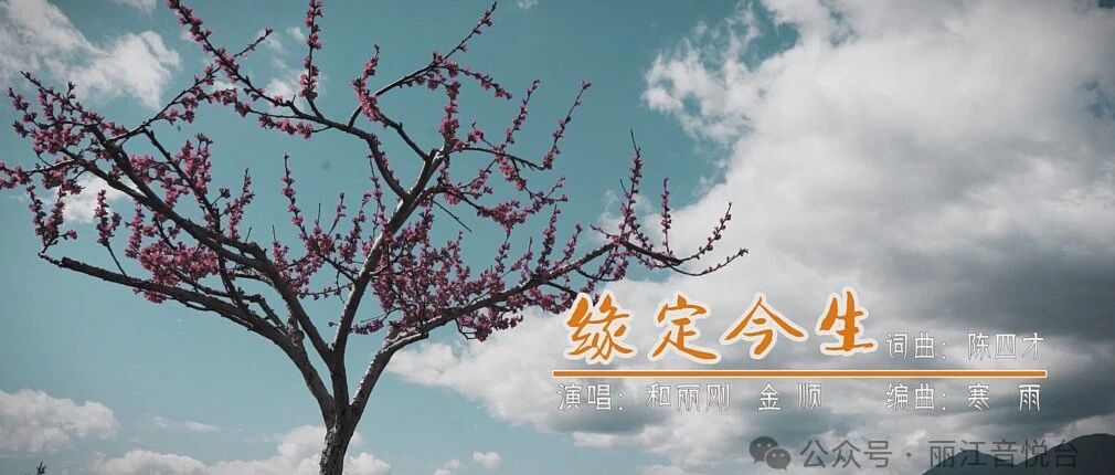 缘定今生 MV 封面