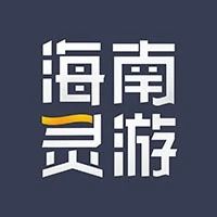 海南灵游网络科技有限公司