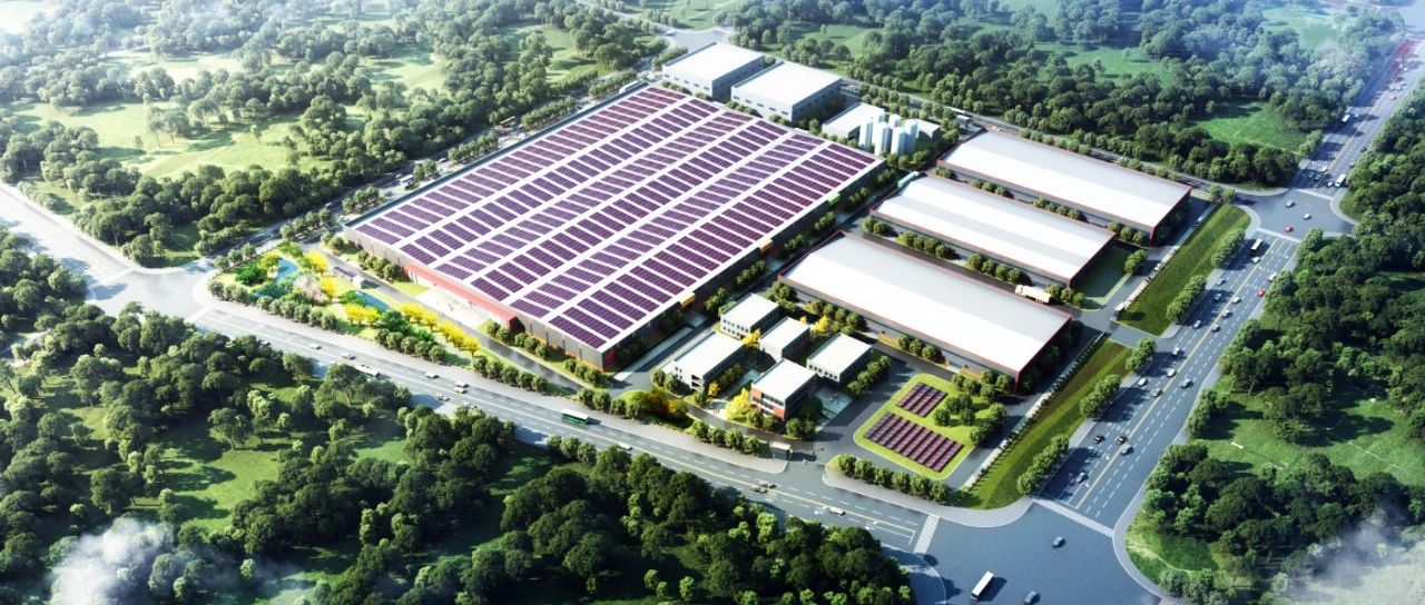 浙江衢州市委书记赴纤纳新能源钙钛矿GW基地项目现场调研