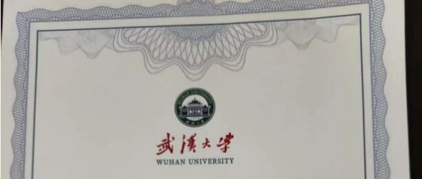 cover_image