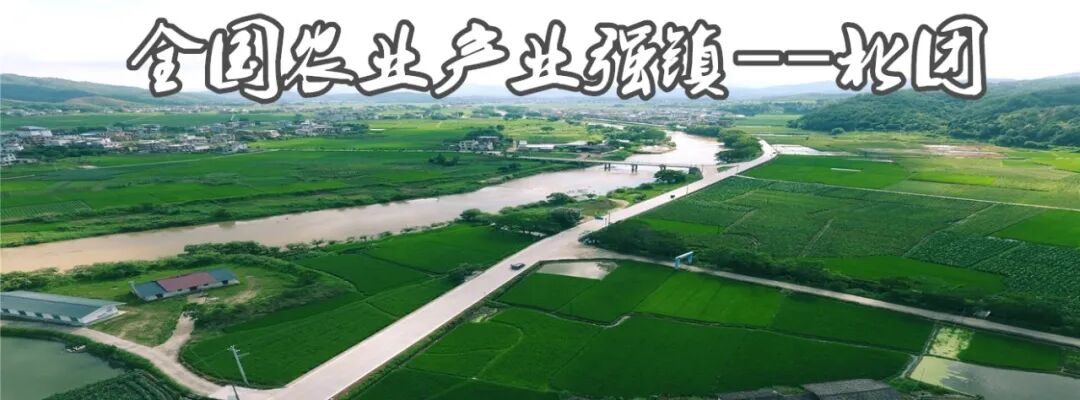 bipap是什么什么是一级防护？二级防护？三级防护？视频详解_https://www.jmylbn.com_新闻资讯_第2张