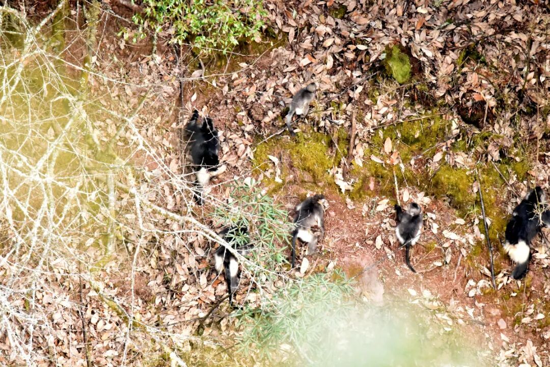 DSC_3617.JPG