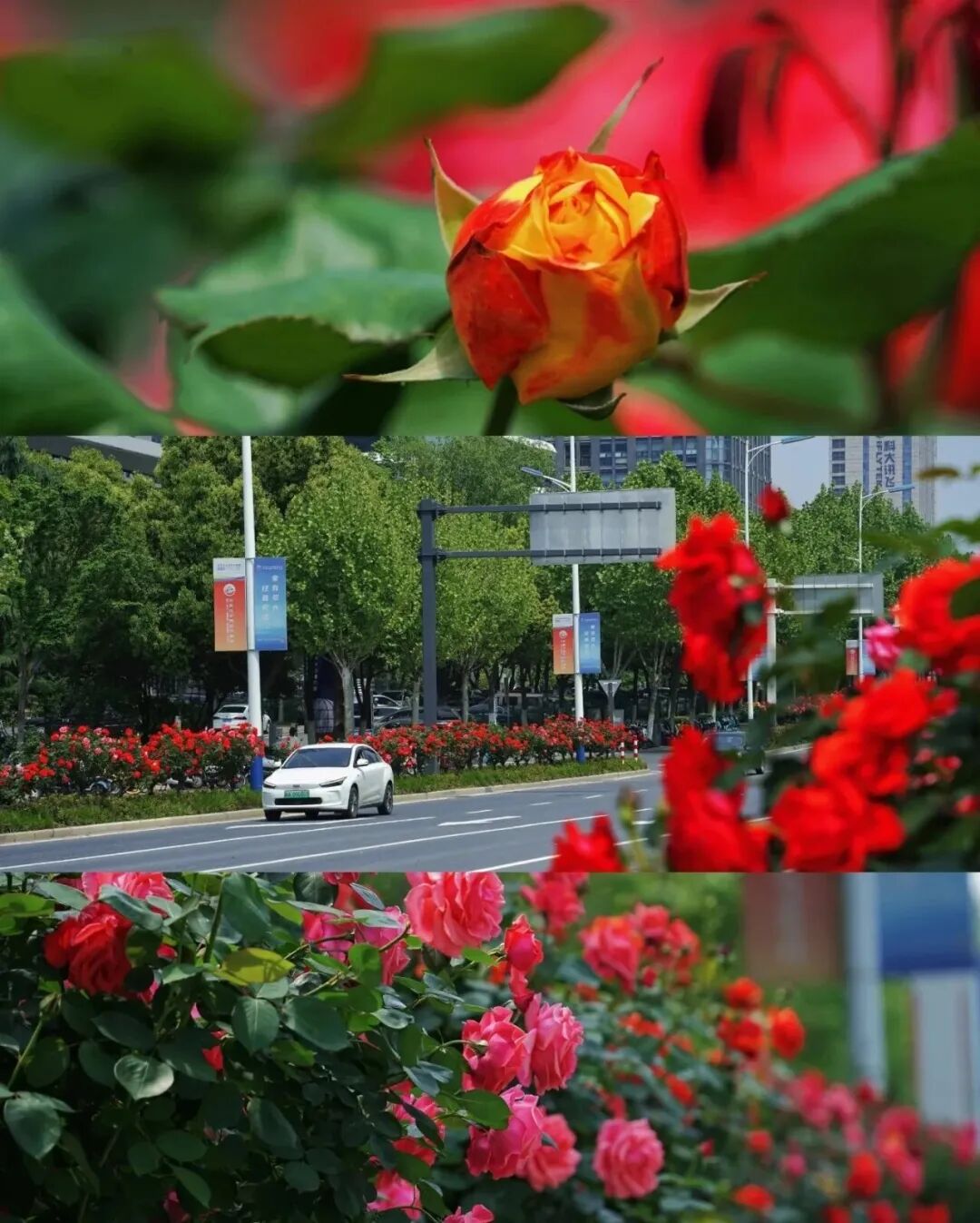 微信图片_20260430152937_1636_105.jpg