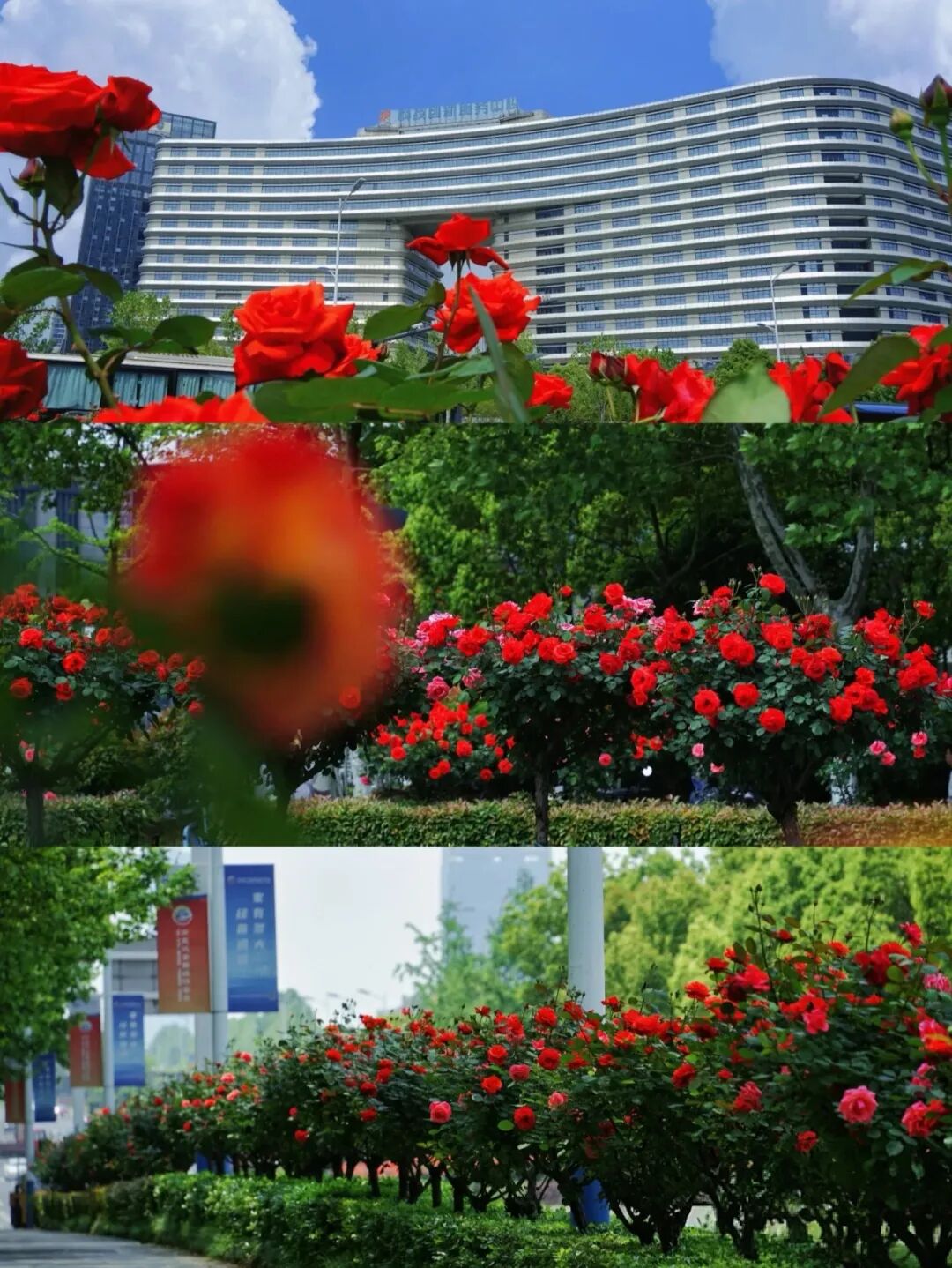 微信图片_20260430153006_1637_105.jpg